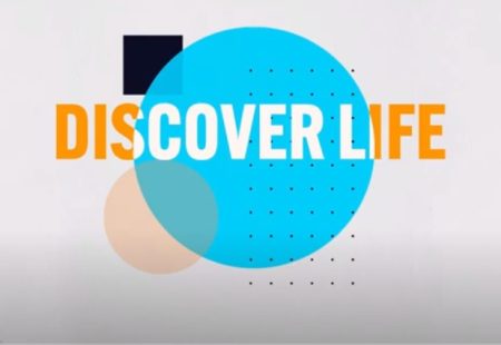 Discover Life Part 2